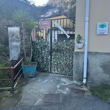 Affittacamere L'Acciuga La Spezia Bagian luar foto